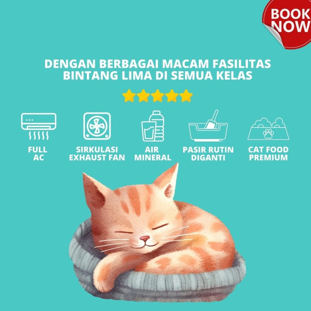 Fasilitas Anabul Pet Hotel Depok