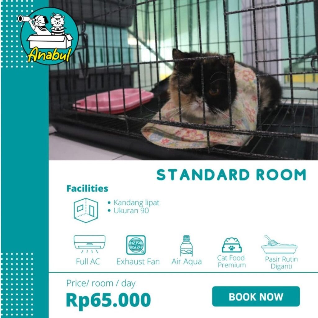 Standard Room Anabul Pet Hotel Depok
