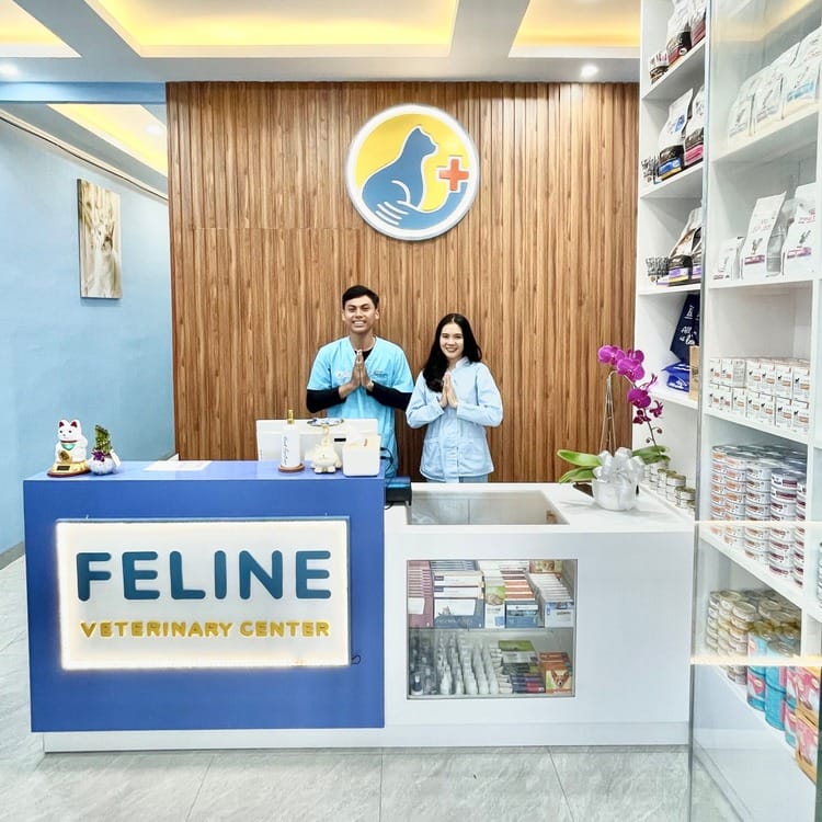 FELINE Veterinary Center Depok