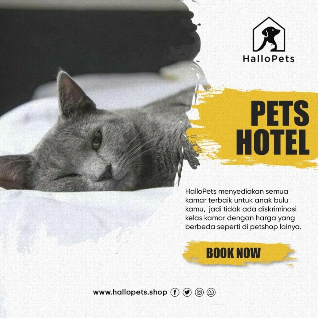 Hallo Pets Hotel Depok