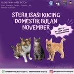 Program Sterilisasi Kucing Domestik Bulan November 2024
