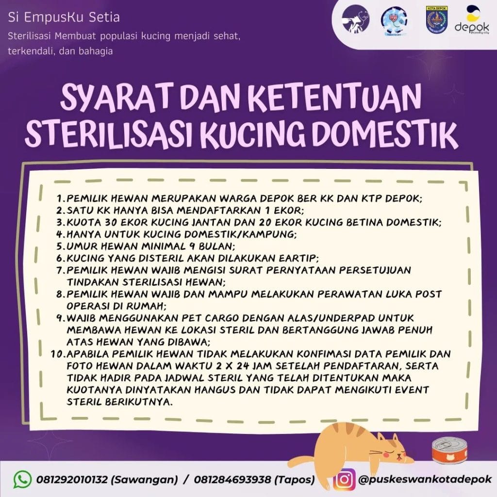 Syarat Ketentuan Sterilisasi Kucing Domestik Bulan November 2024 di Rumah Pemotongan Hewan RPH Tapos Depok