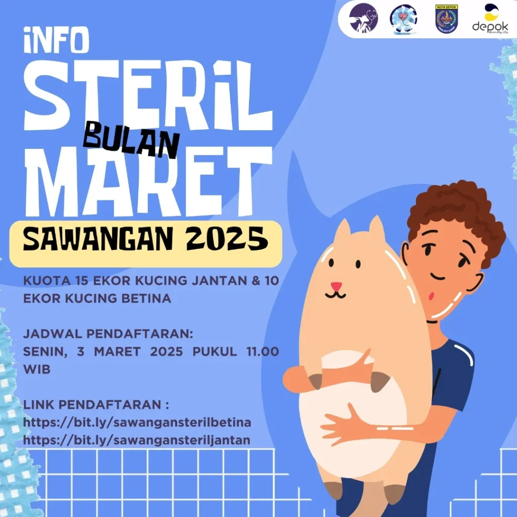 Info Steril Kucing Domestik Bulan Maret 2025 Sawangan Depok