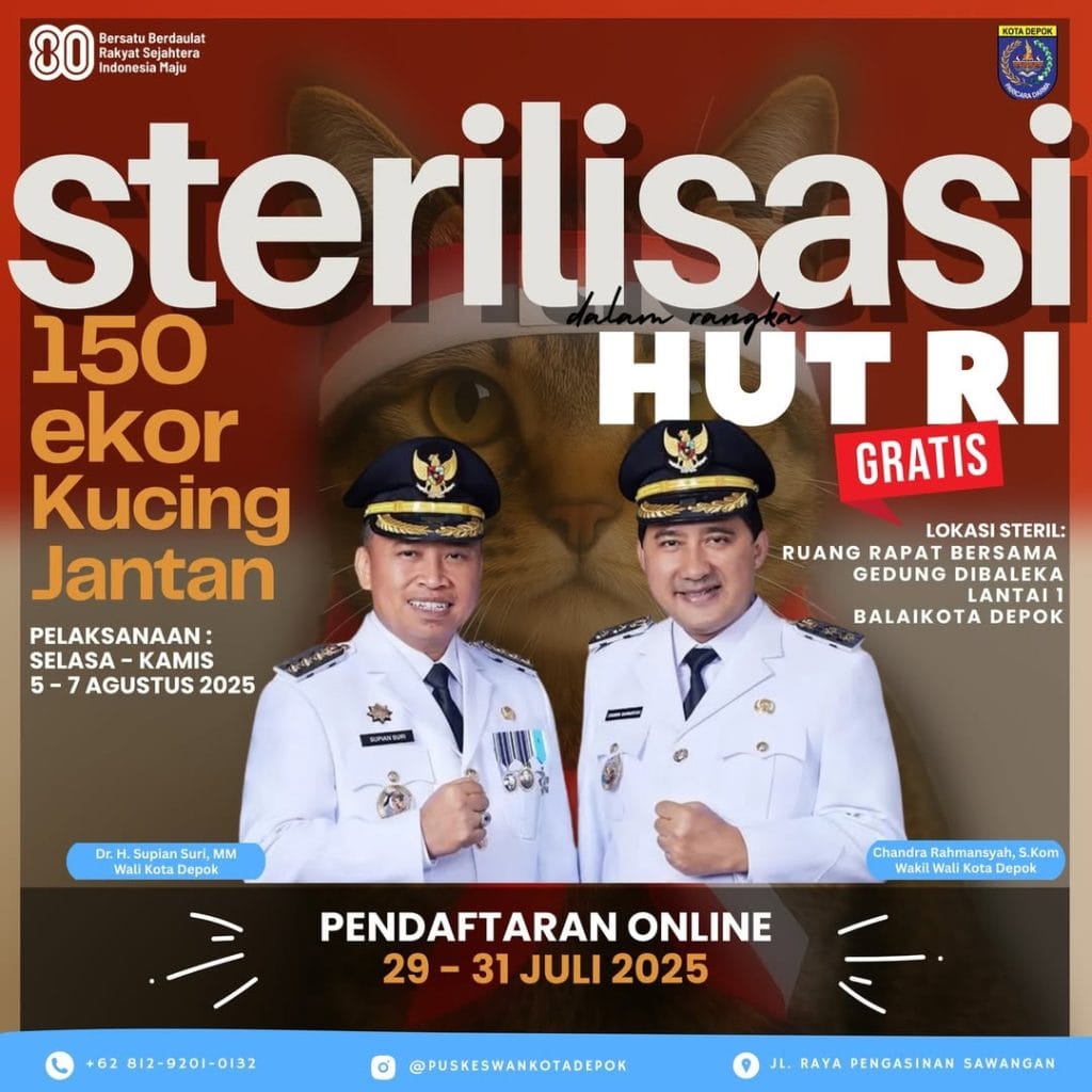 Sterilisasi Kucing Domestik PUSKESWAN Depok Periode Agustus 2025