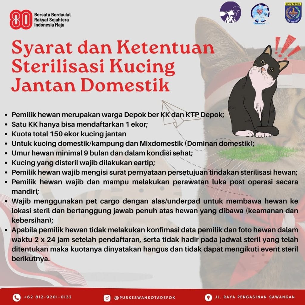 Syarat Ketentuan Pendaftaran Sterilisasi Kucing Domestik PUSKESWAN Depok Periode Agustus 2025