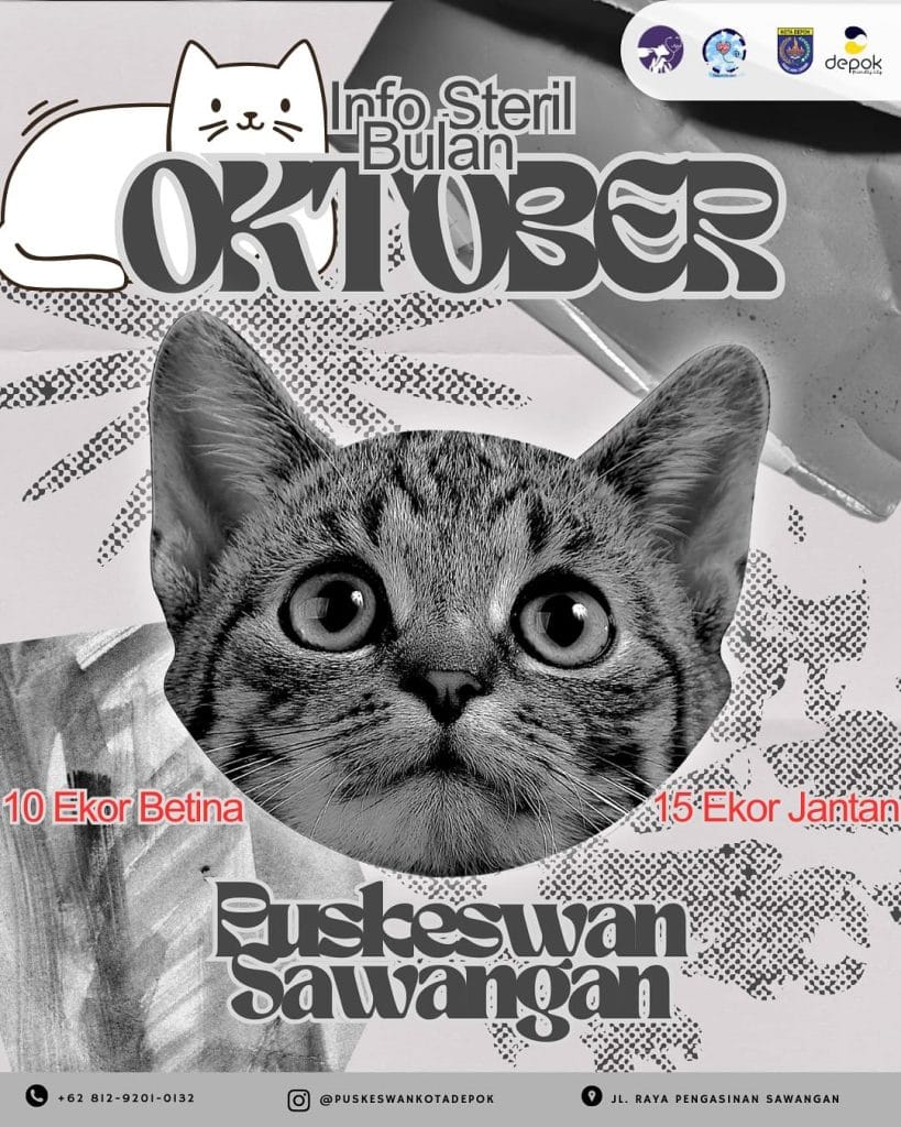 Info Steril Bulan Oktober 2025 di PUSKESWAN Sawangan