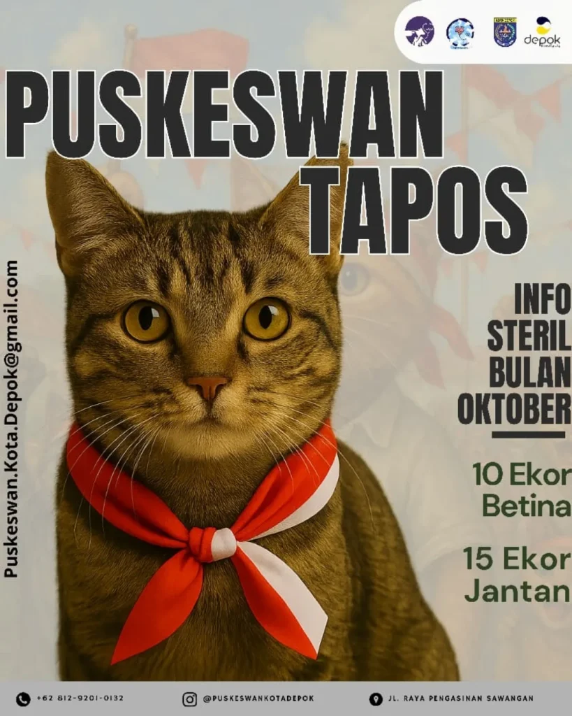 Info Steril Bulan Oktober 2025 di PUSKESWAN Tapos