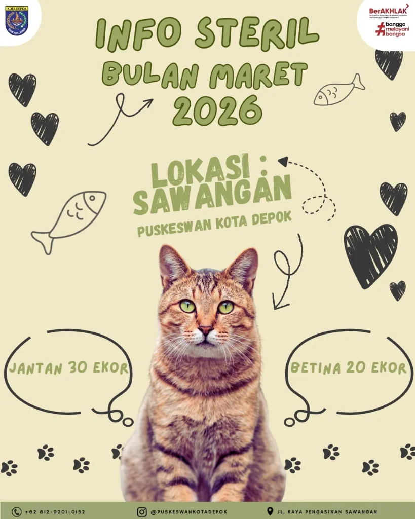 Poster pengumuman pendaftaran program sterilisasi kucing domestik bulan Maret 2026 di Puskeswan Sawangan Kota Depok